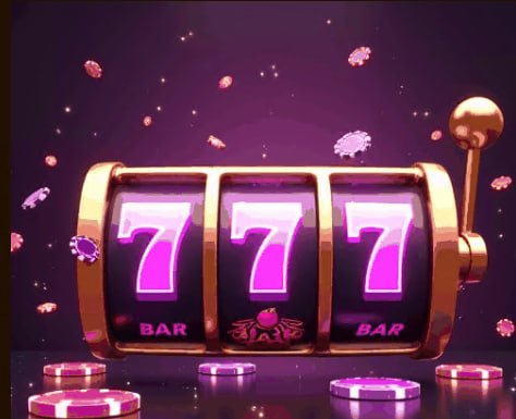 559bet app